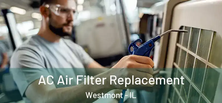  AC Air Filter Replacement Westmont - IL
