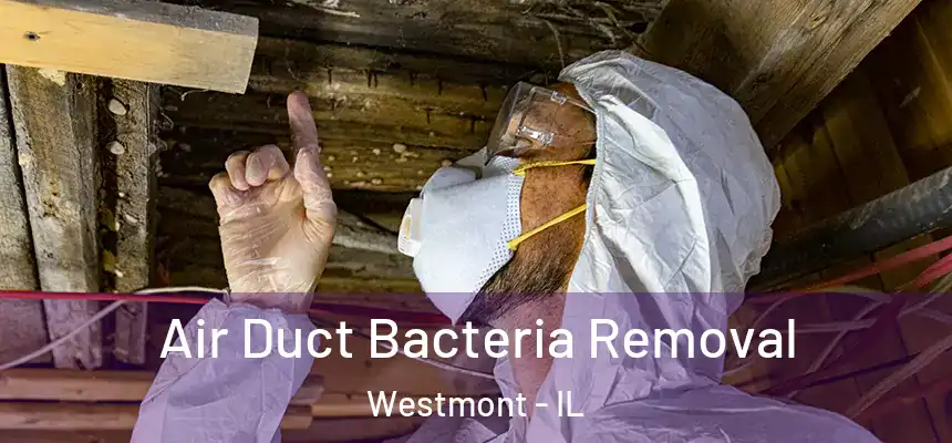 Air Duct Bacteria Removal Westmont - IL