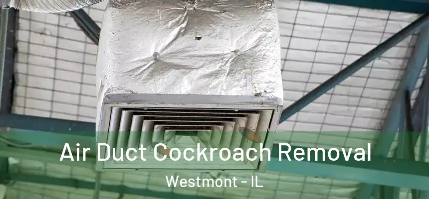  Air Duct Cockroach Removal Westmont - IL
