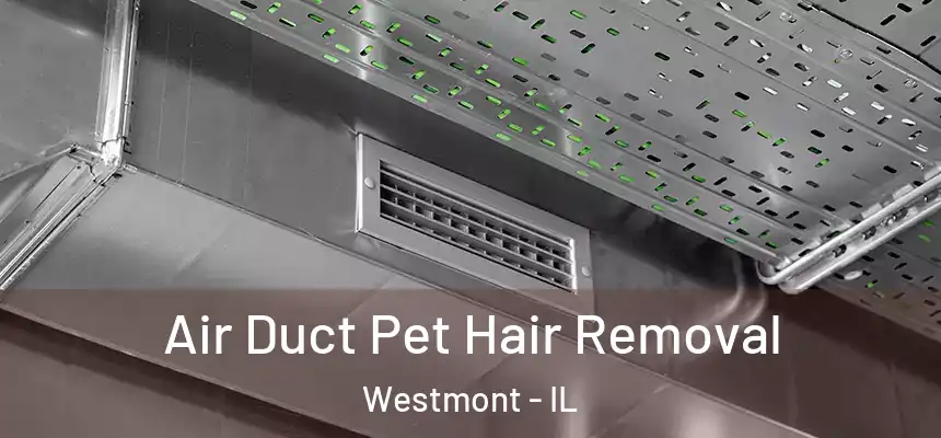 Air Duct Pet Hair Removal Westmont - IL