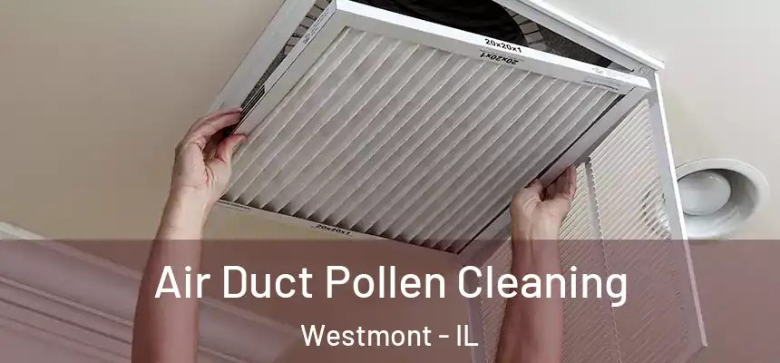  Air Duct Pollen Cleaning Westmont - IL