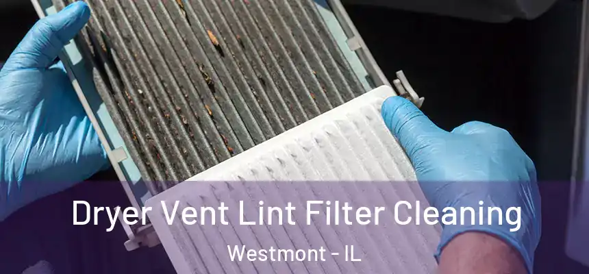 Dryer Vent Lint Filter Cleaning Westmont - IL