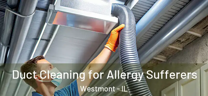 Duct Cleaning for Allergy Sufferers Westmont - IL