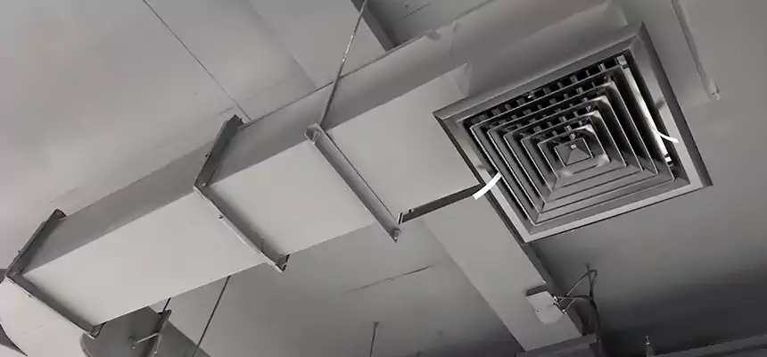 Restorative Allergy Relief Vent Cleaning – Coil, Blower & Housing Detail in Westmont