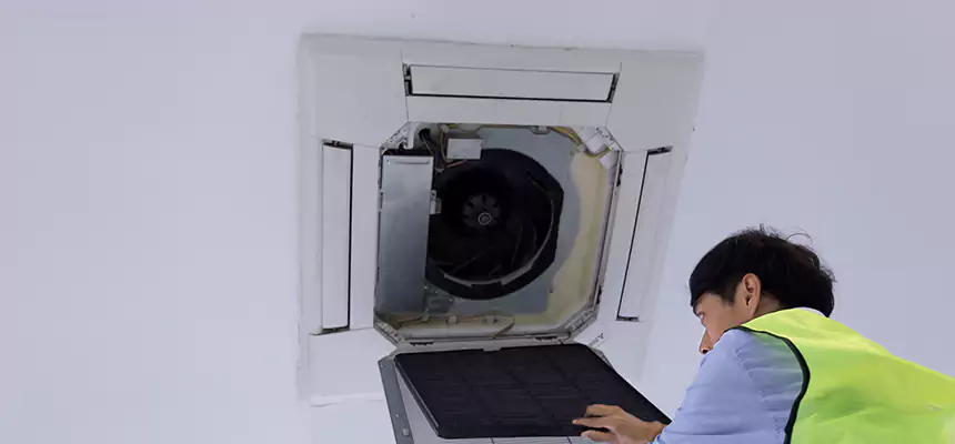 Our Dryer Vent Sanitization Service Services in Westmont, IL