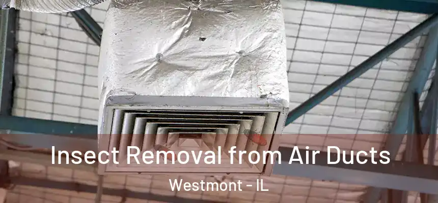 Insect Removal from Air Ducts Westmont - IL