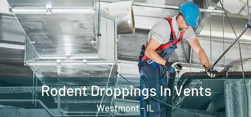  Rodent Droppings In Vents Westmont - IL