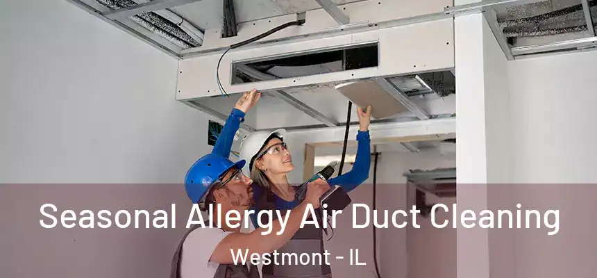 Seasonal Allergy Air Duct Cleaning Westmont - IL
