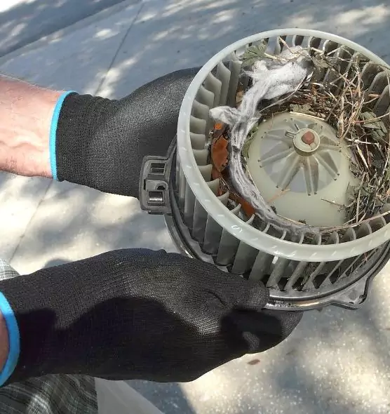 About Air Duct Mice Removal in Westmont, IL