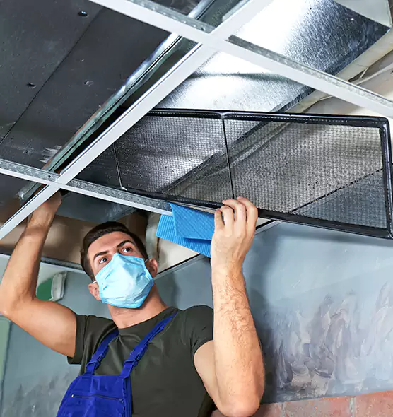 Professional Air Duct Pollen Cleaning in Westmont, IL