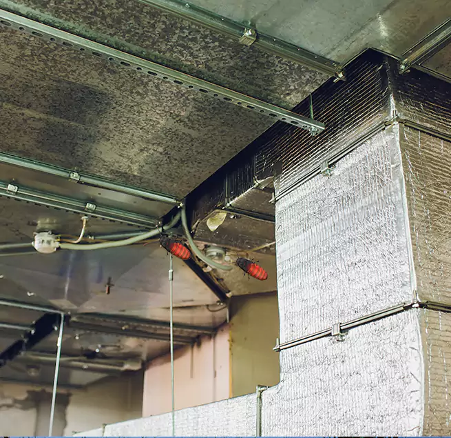 Why Homeowners & Businesses Trust Us in Westmont, IL?