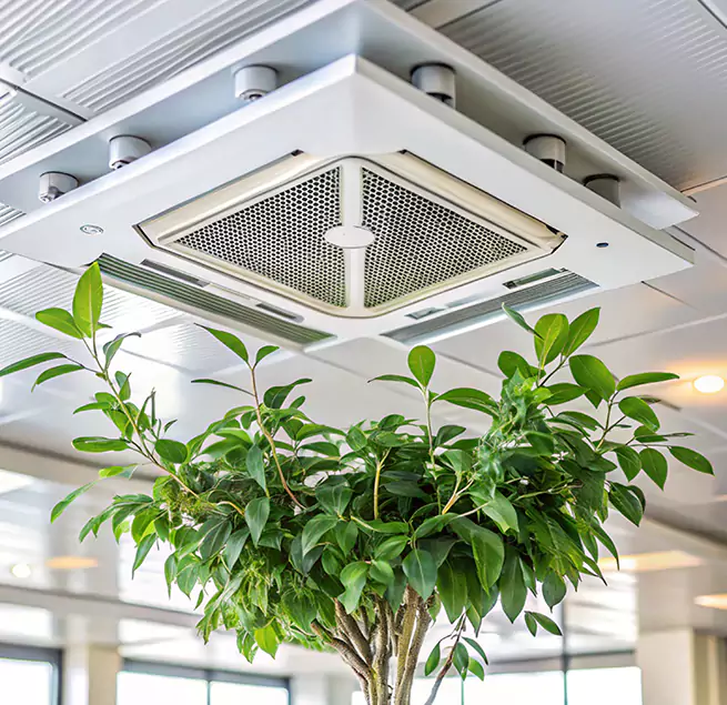 Why Homeowners & Businesses Trust Us in Westmont, IL