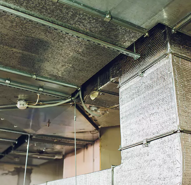 Why Homeowners & Businesses Trust Us in Westmont, IL?