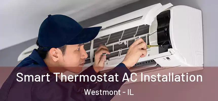  Smart Thermostat AC Installation Westmont - IL
