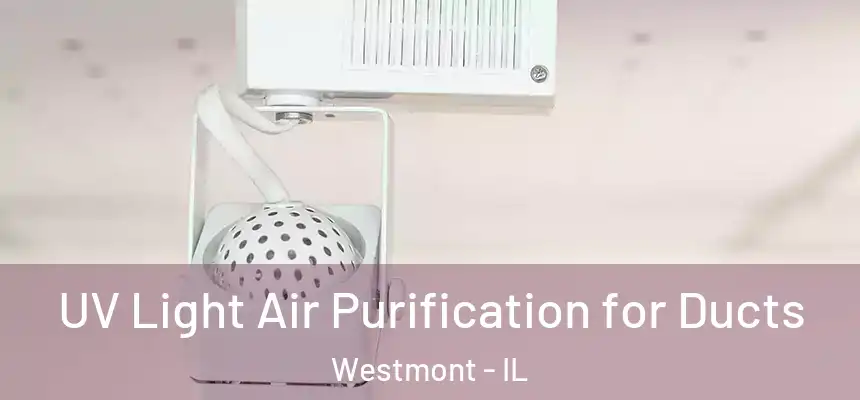  UV Light Air Purification for Ducts Westmont - IL